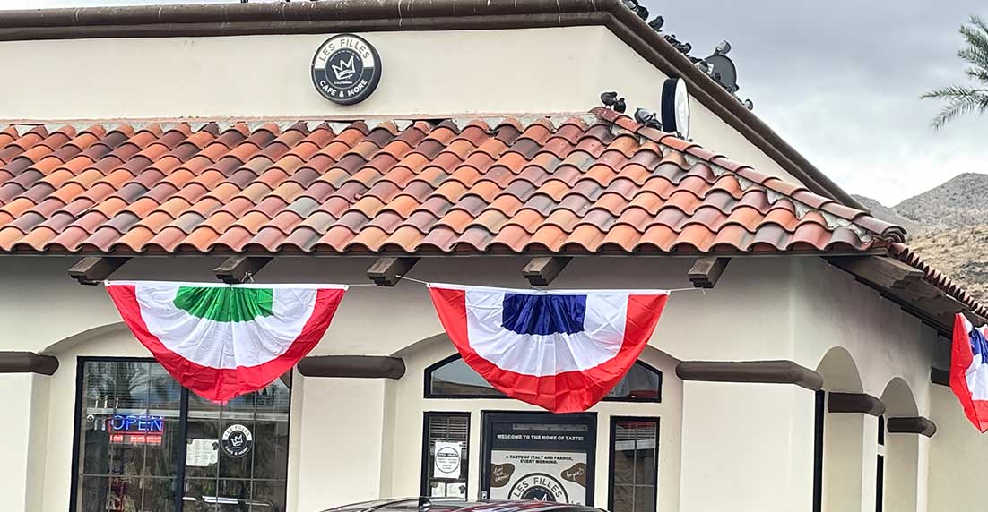 coffee shop cat city